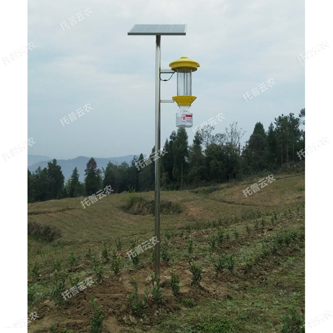 太陽能殺蟲燈為綠色生態(tài)農(nóng)業(yè)發(fā)展提供幫助